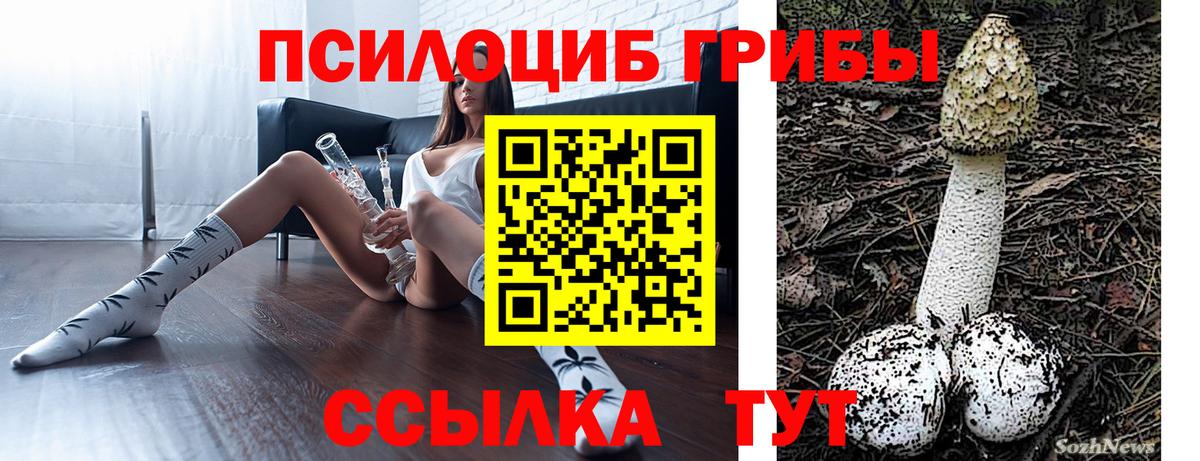 цена наркотик  Псилоцибиновые грибы Magic Shrooms  Вход с VPN  Майский 